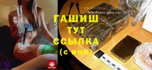 PSILOCYBIN Алзамай